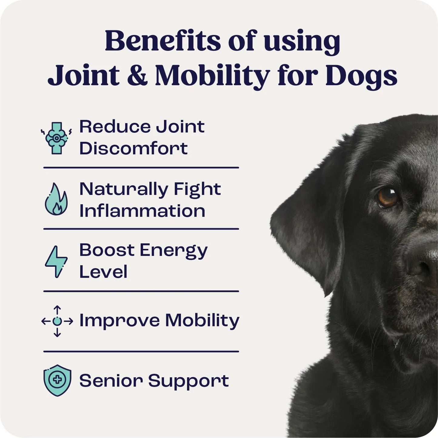 Suplemento Articulaciones Movilidad Perros Grandes Condroitina Líquida Summit Canine