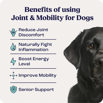 Suplemento Articulaciones Movilidad Perros Grandes Condroitina Líquida Summit Canine