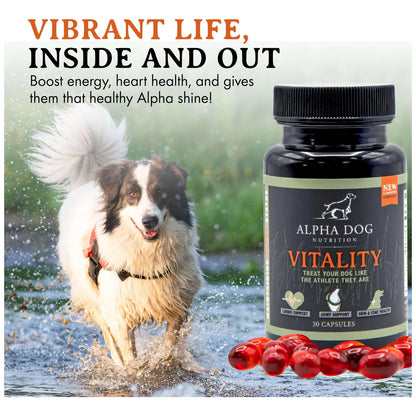 Aceite De Krill Para Perros Vitality By Reduce Alergias Picazon Y Cuida Articulaciones