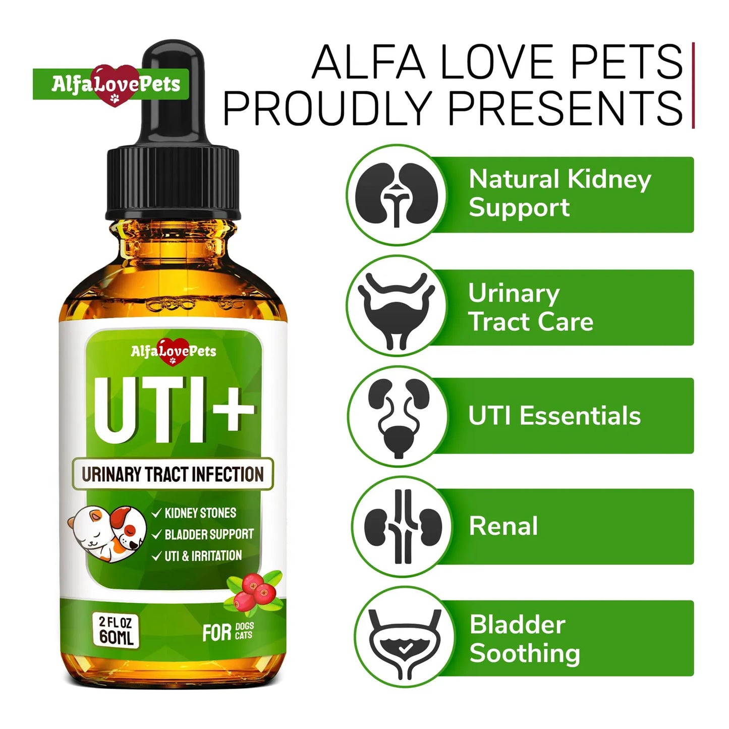 Tratamiento Para Infecciones Urinarias En Gatos Y Perros Alivia El Dolor Rapido Y Efectivo