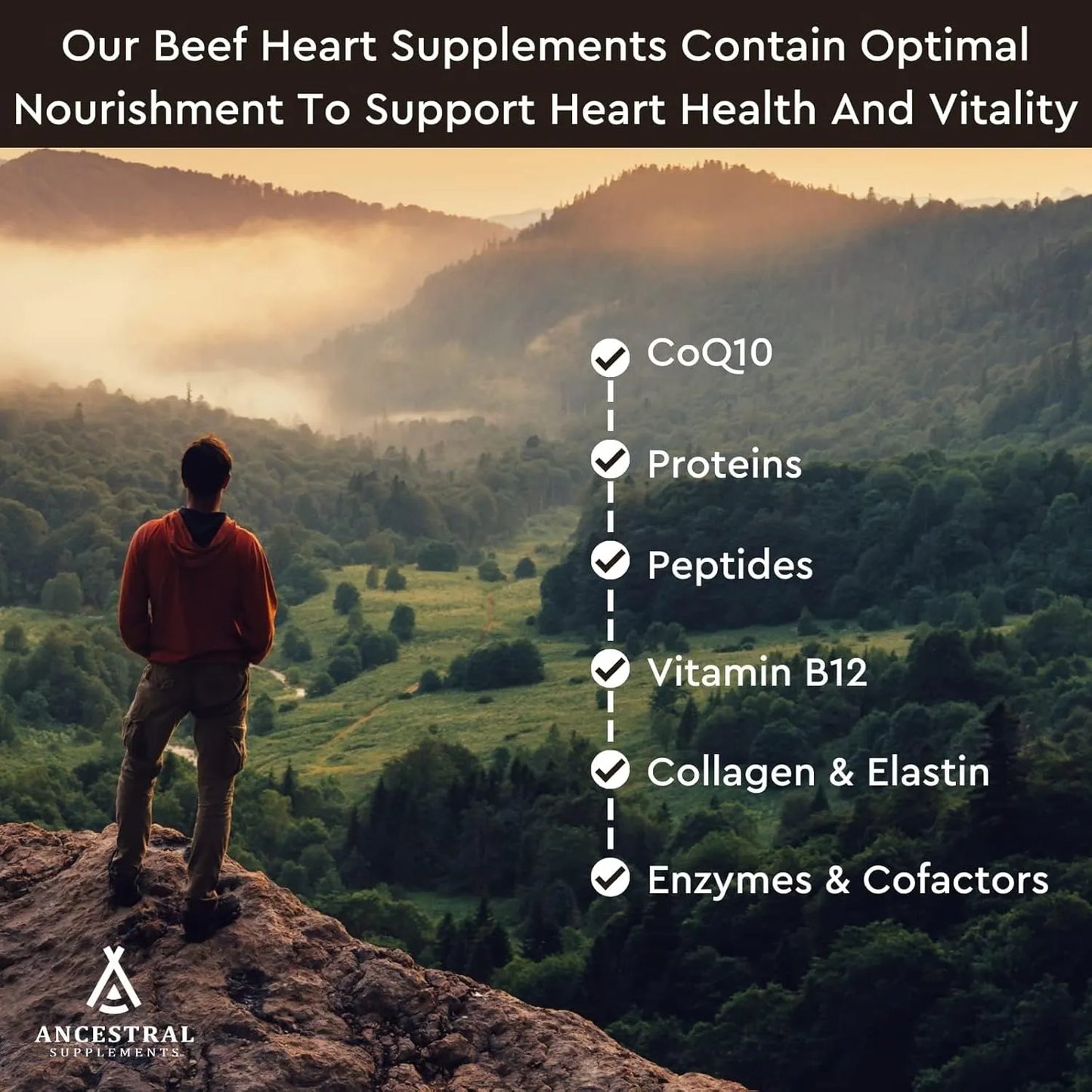 Capsulas Corazon De Res Alimentado Con Pasto Coq10 Salud Cardiaca Y Mitocondrial 180 Caps