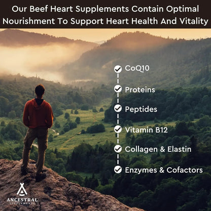 Capsulas Corazon De Res Alimentado Con Pasto Coq10 Salud Cardiaca Y Mitocondrial 180 Caps
