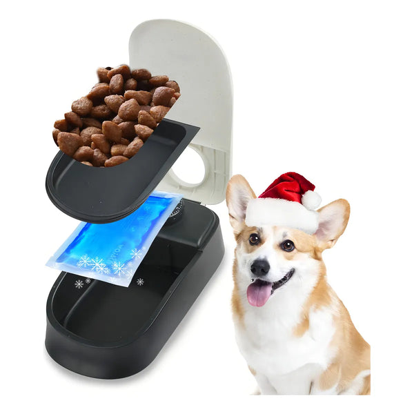 Alimentador Automático Pawise Para Perros Y Gatos 4 Comidas Diarias Programables