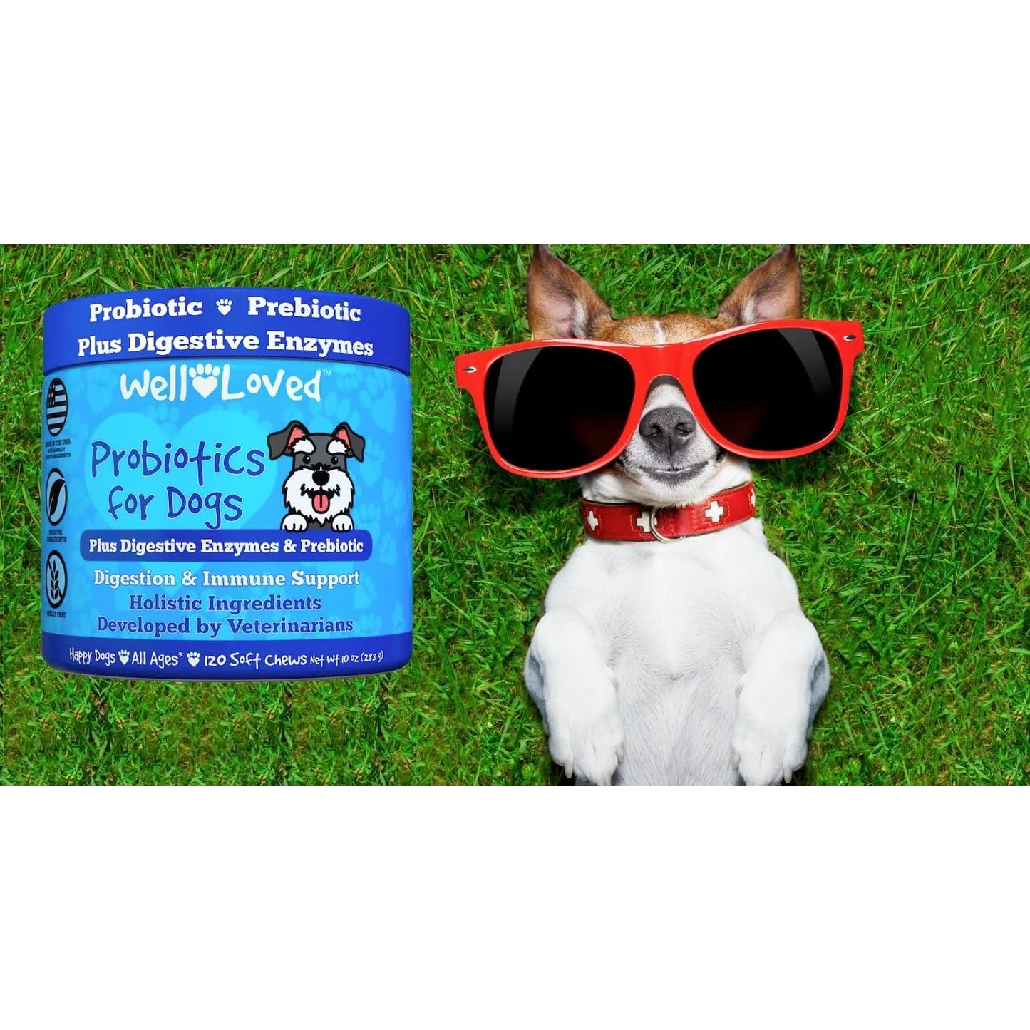 Masticables Probióticos Y Enzimas Digestivas Para Perros Salud Intestinal