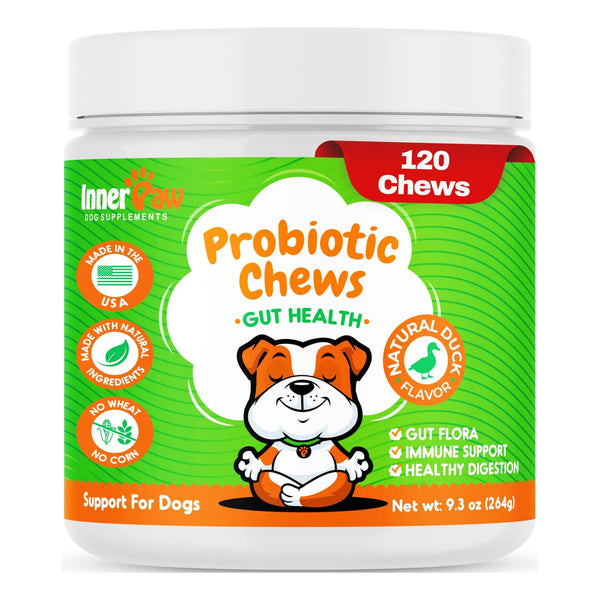 Probióticos Para Perros Con Enzimas Digestivas Salud Intestinal Y Soporte Inmunológico