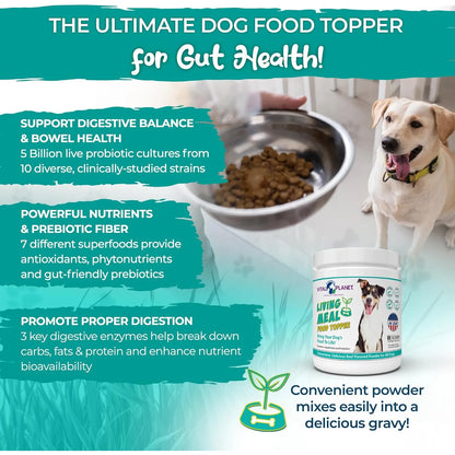 Polvo Para Perros Con Enzimas Probióticos Y Superalimentos Vital Planet 3.92 Oz Nutrición Premium