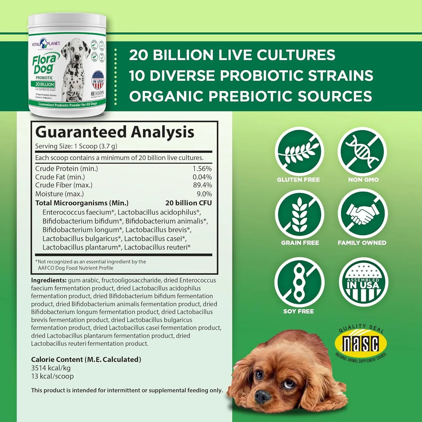 Polvo Probiótico Para Perros Flora 20 Mil Millones Cultivos Vital Planet