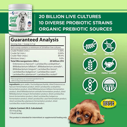 Polvo Probiótico Para Perros Flora 20 Mil Millones Cultivos Vital Planet