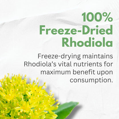 Extracto De Rhodiola Rosea 500 Mg 3 Rosavinas 1 Salidrosides Con Ashwagandha