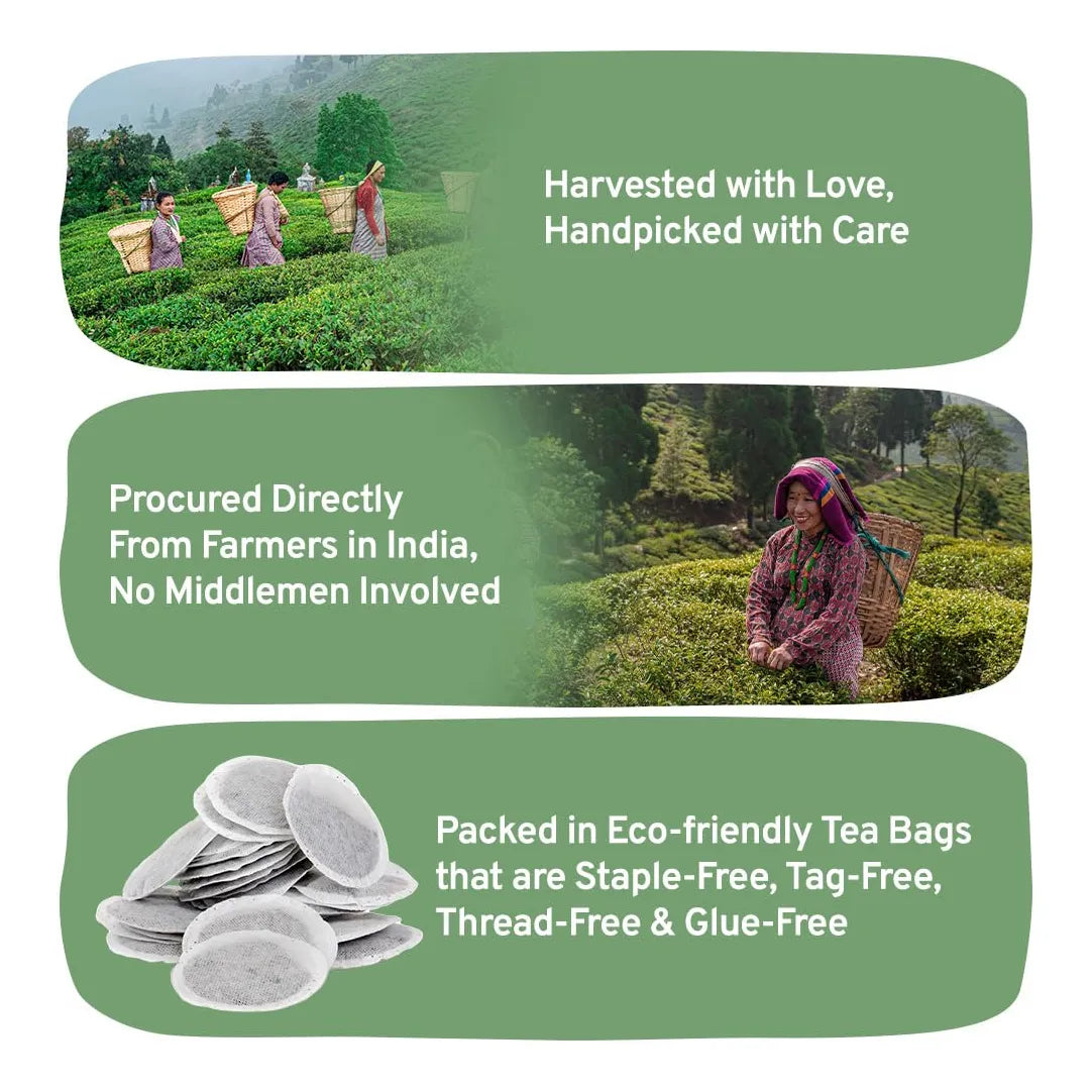 Handpick Bolsas De Té Verde Orgánico 100 Bolsas USDA Himalaya India