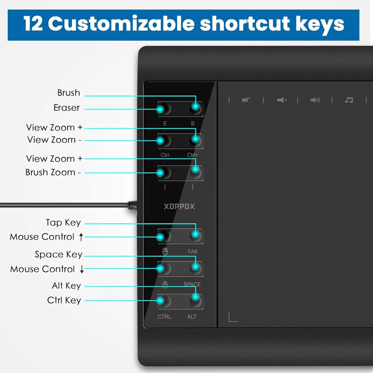 Tableta Grafica Xoppox 10x6 Pulgadas Lápiz Sin Batería 8192 Niveles Presión Compatible PC Mac Android