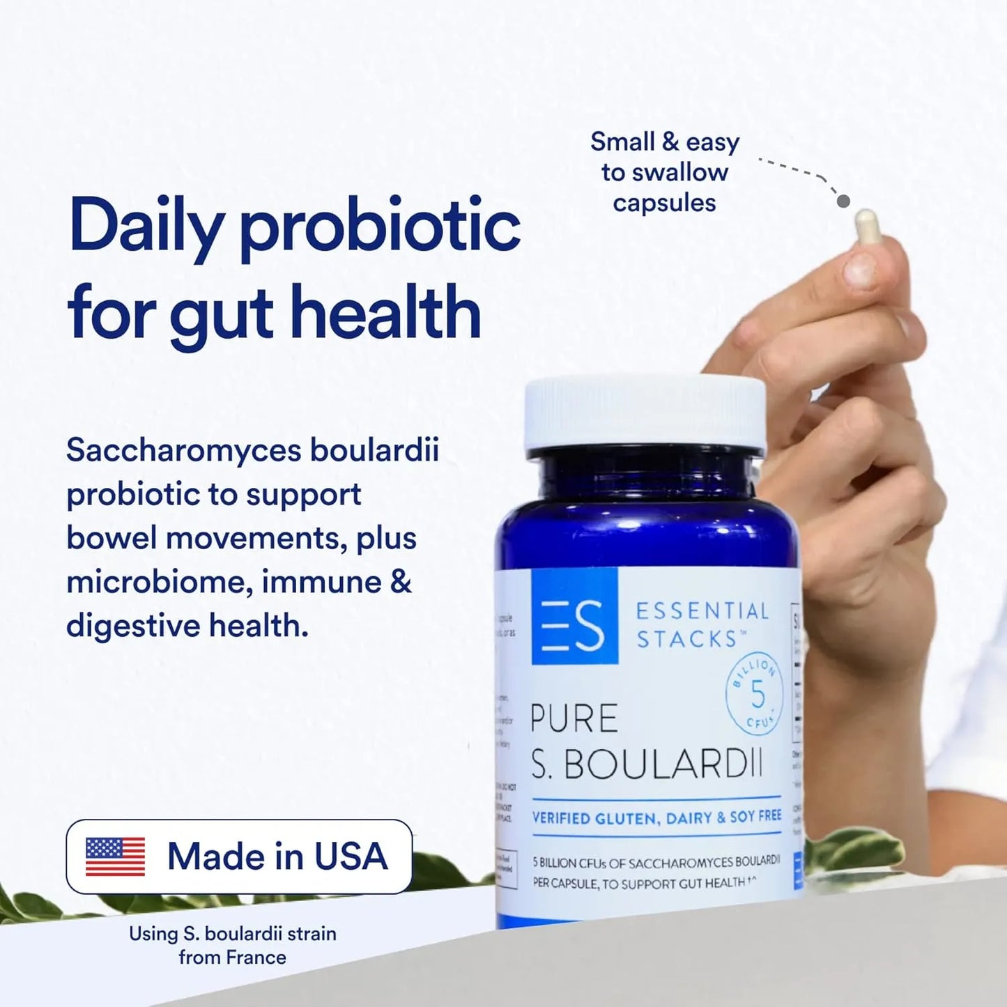 Probióticos Saccharomyces Boulardii 5 Mil Millones UFC Salud Intestinal 60 Cápsulas Sin Gluten