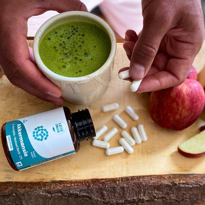 Probiótico Akkermansia Muciniphila Con Prebiótico PureHMO Salud Intestinal Premium