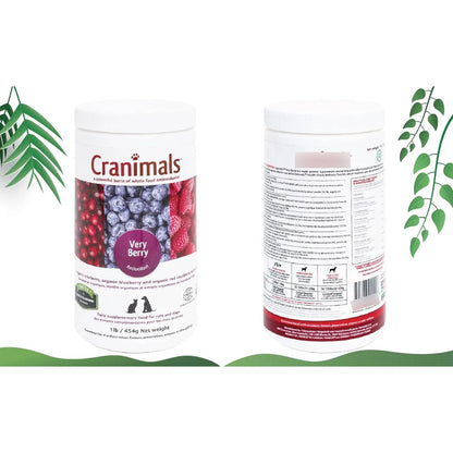Superalimento Antioxidante En Polvo VeryBerry Para Perros Y Gatos Refuerzo Natural Con Bayas