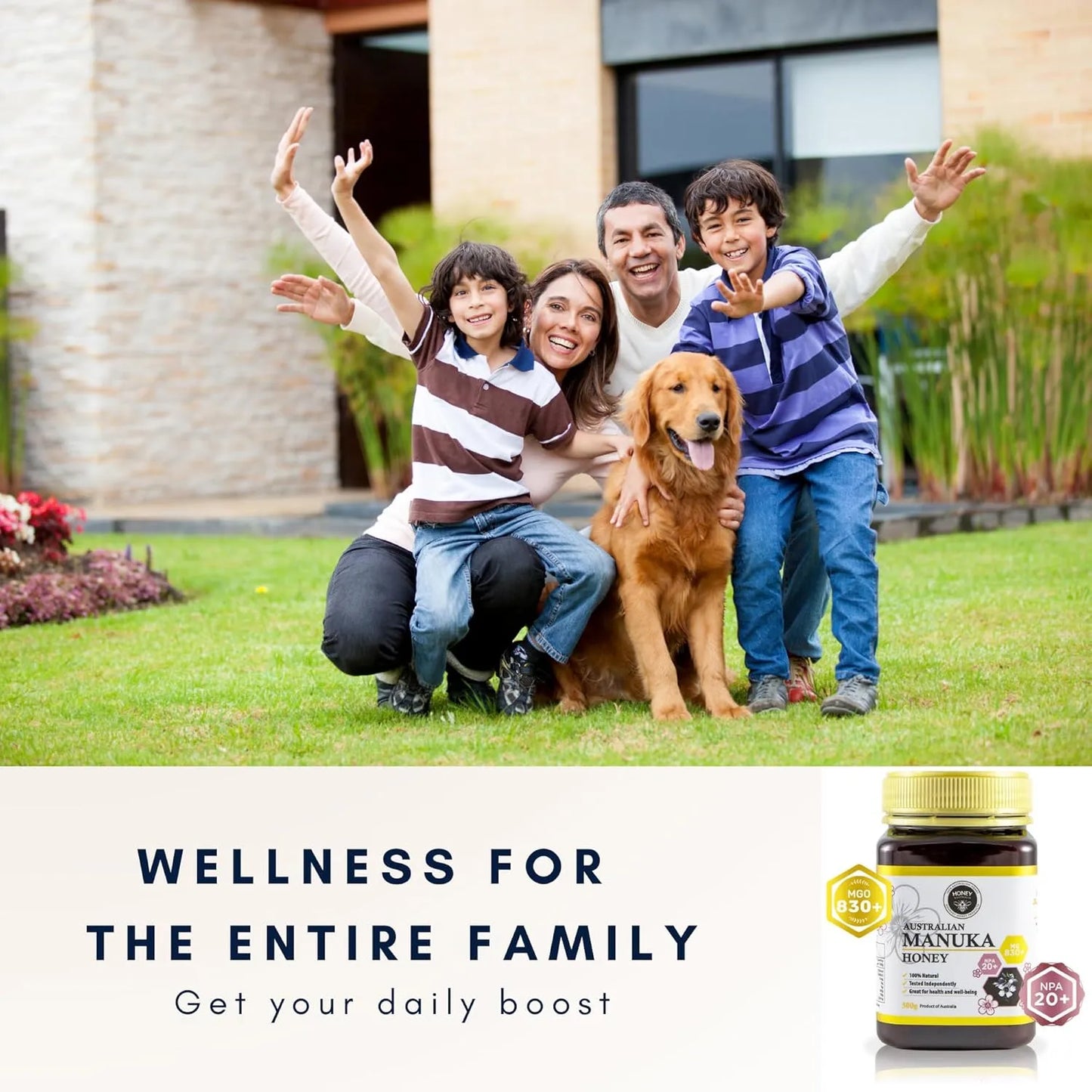 Miel De Manuka Pura Orgánica Cruda MGO 830+ Para Salud Digestiva Piel Y Energía