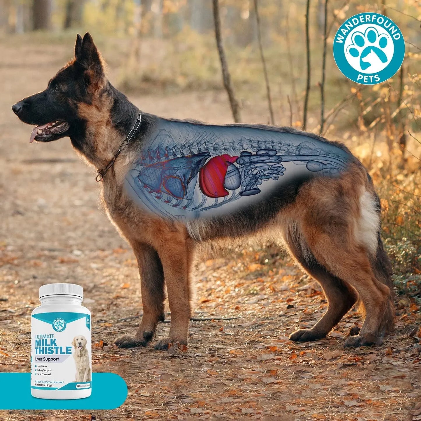 Tabletas Masticables Cardo Mariano Sabor Salmón Y Tocino Para Perros Salud Hepática 100 Unidades