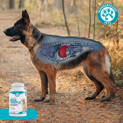 Tabletas Masticables Cardo Mariano Sabor Salmón Y Tocino Para Perros Salud Hepática 100 Unidades