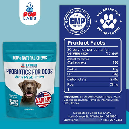 Probióticos Esenciales Para Perros Salud Intestinal Y Bienestar