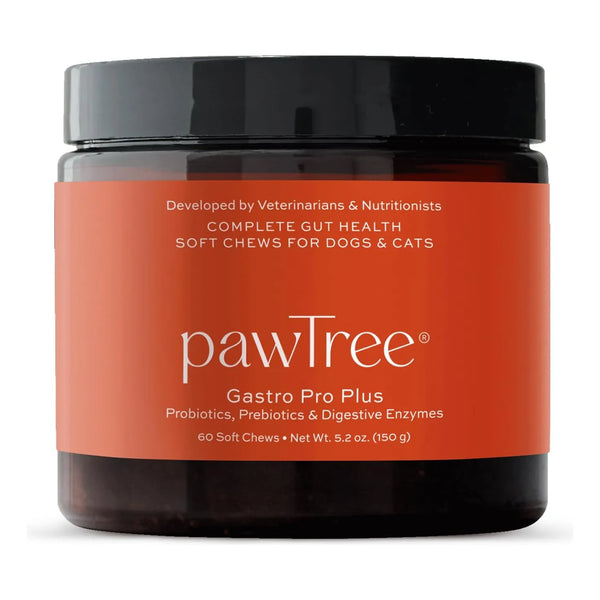 Pawtree Gastro Pro Plus Probióticos Para Perros Y Gatos Digestión Sensible Y Heces Firmes