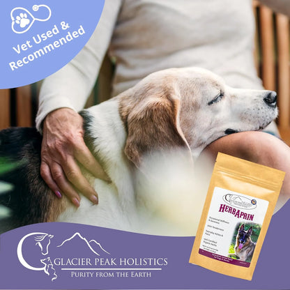 Alivio Natural Para Perros Mezcla Hierbas Organicas Artritis Dolores Articulares