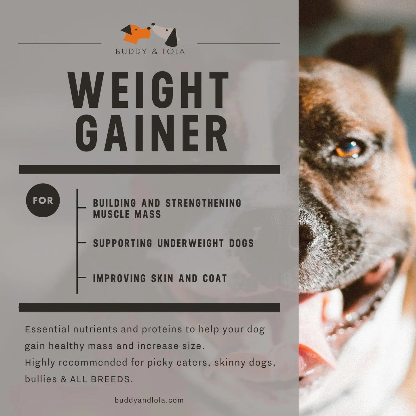Suplemento Para Aumento De Peso Natural Perros Polvo Alto En Calorias Y Proteinas