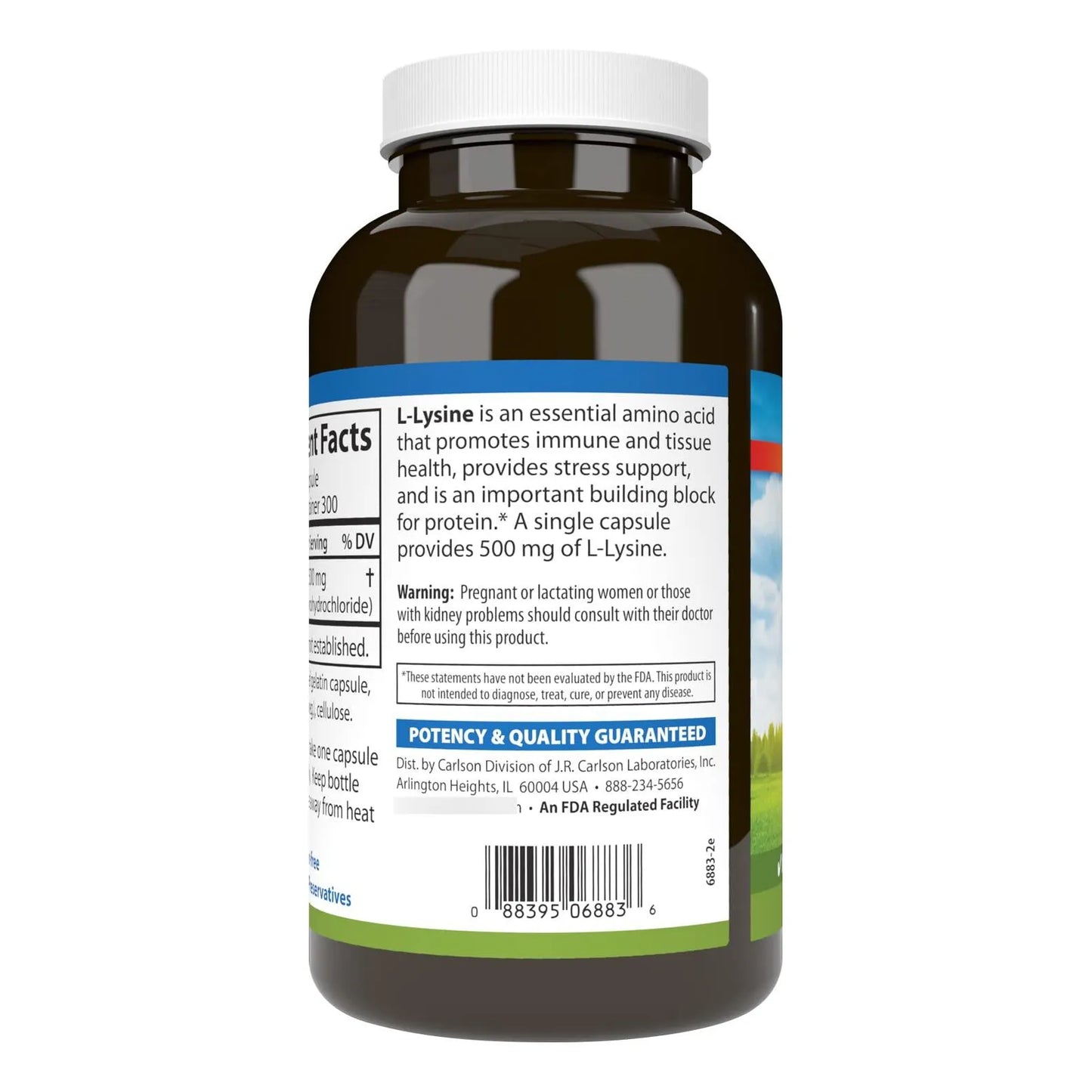 L Lisina 500 Mg 300 Capsulas Desarrollo Muscular Tejidos Saludables
