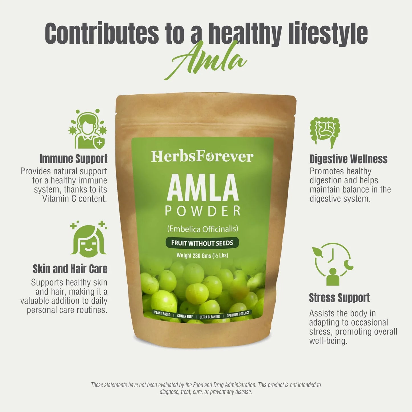 Polvo De Amla Phyllanthus Emblica 230g Rico En Vitamina C Antioxidantes Vegano