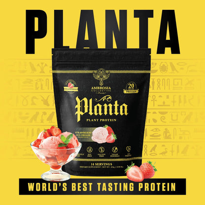 Proteína Orgánica Premium A Base De Plantas Sabor Helado 14 Porciones Vegana Sin Azúcar