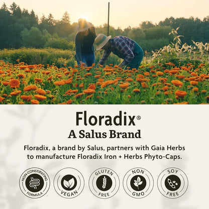 Floradix Hierro Y Hierbas 120 Capsulas Suplemento Energético Vegano