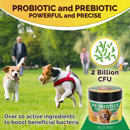Tabletas Probióticas Y Prebióticas Para Perros Sabor Pollo Salud Intestinal