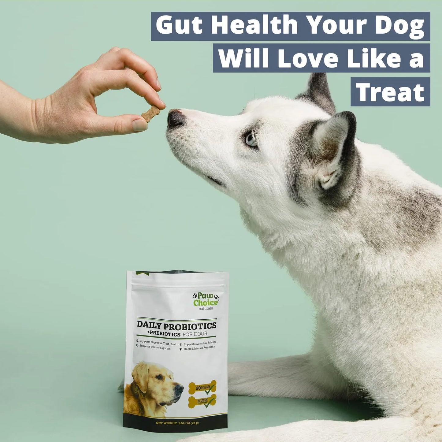 Masticables Probióticos Para Perros Con Prebióticos Salud Intestinal Y Digestión