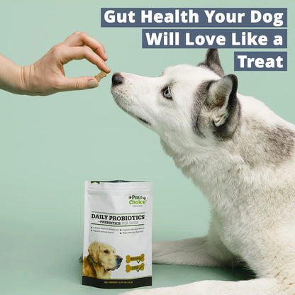 Masticables Probióticos Para Perros Con Prebióticos Salud Intestinal Y Digestión