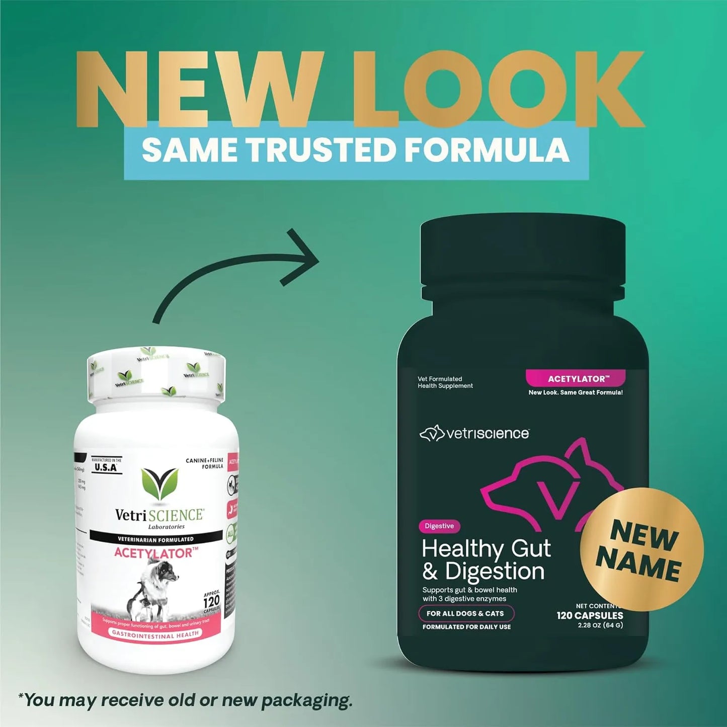 Capsulas De Salud Intestinal Para Perros Y Gatos Vetriscience 120 Unidades Apoya Digestión Y Bienestar