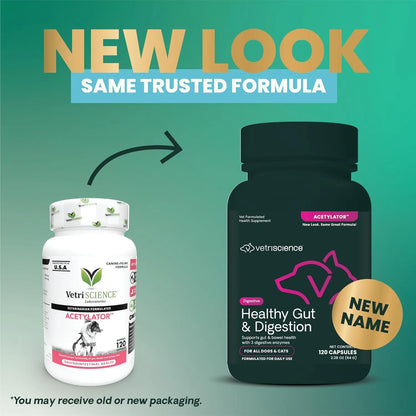 Capsulas De Salud Intestinal Para Perros Y Gatos Vetriscience 120 Unidades Apoya Digestión Y Bienestar