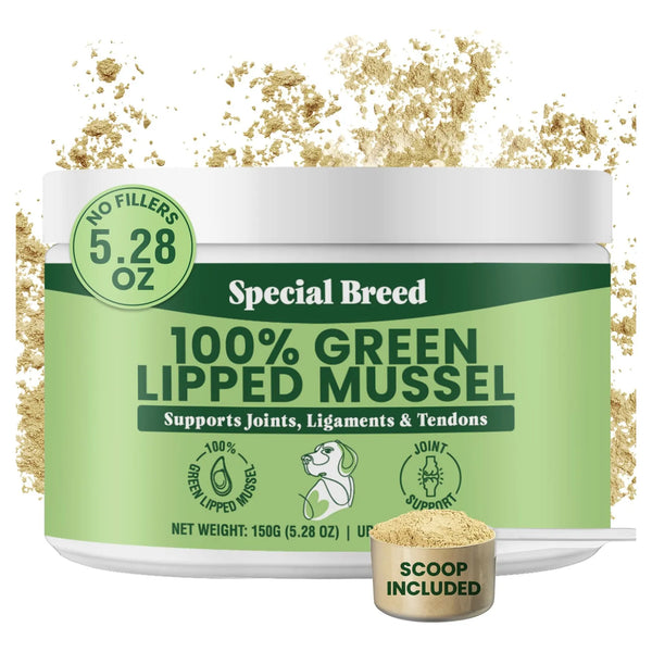 Suplemento Articular Premium Mejillones Labios Verdes En Polvo Para Perros Y Gatos 150g