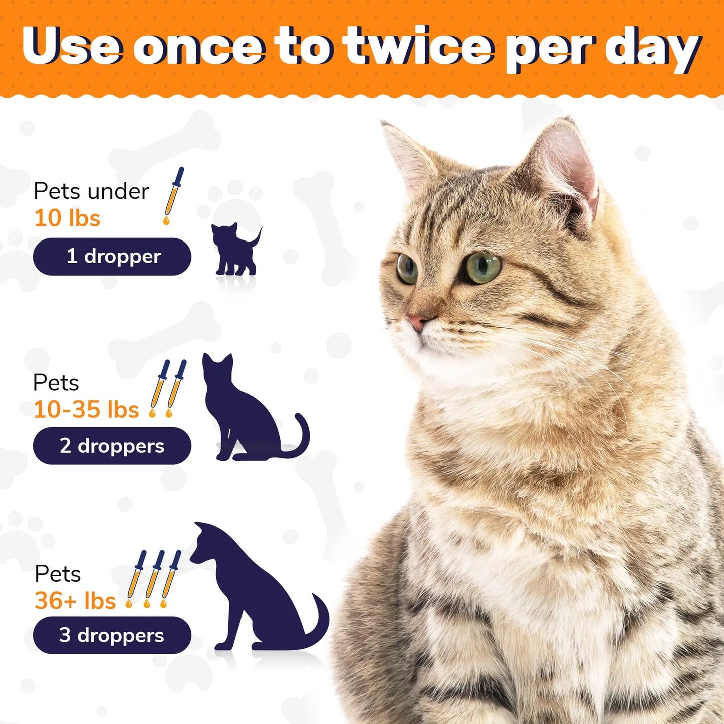 Probióticos Y Enzimas Digestivas Para Perros Y Gatos Mejora La Digestión Y Salud Intestinal