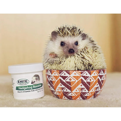 Multivitamínico Completo En Polvo Para Erizos 60 Gramos Vita Hedgehog Booster