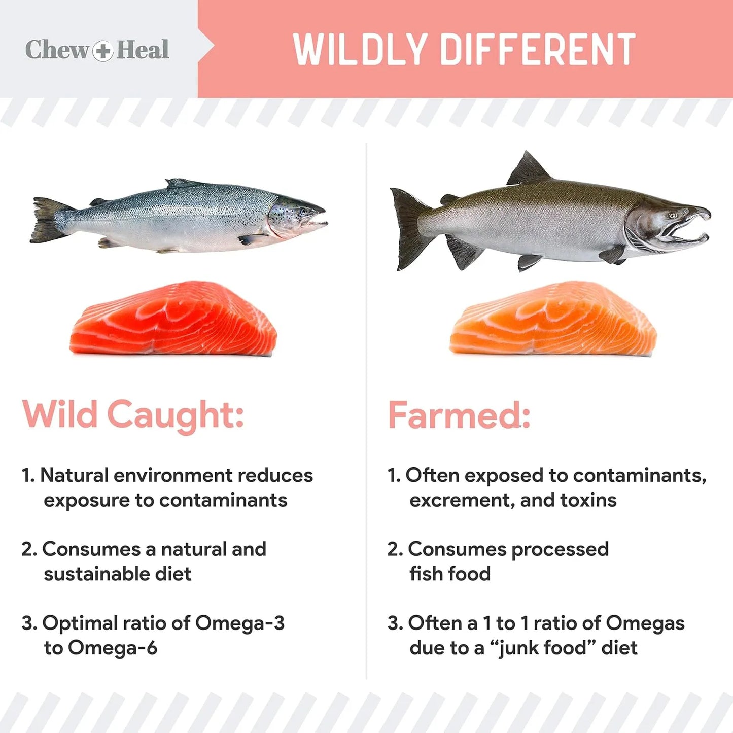 Aceite De Pescado De Salmon Salvaje Para Perros 946 Ml Con Omega 3 Y 6 Para Piel Y Pelaje