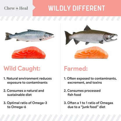 Aceite De Pescado De Salmon Salvaje Para Perros 946 Ml Con Omega 3 Y 6 Para Piel Y Pelaje