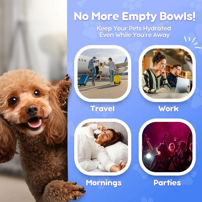 Dispensador De Agua Flexzion Gravity Para Mascotas Automático Y Sin BPA