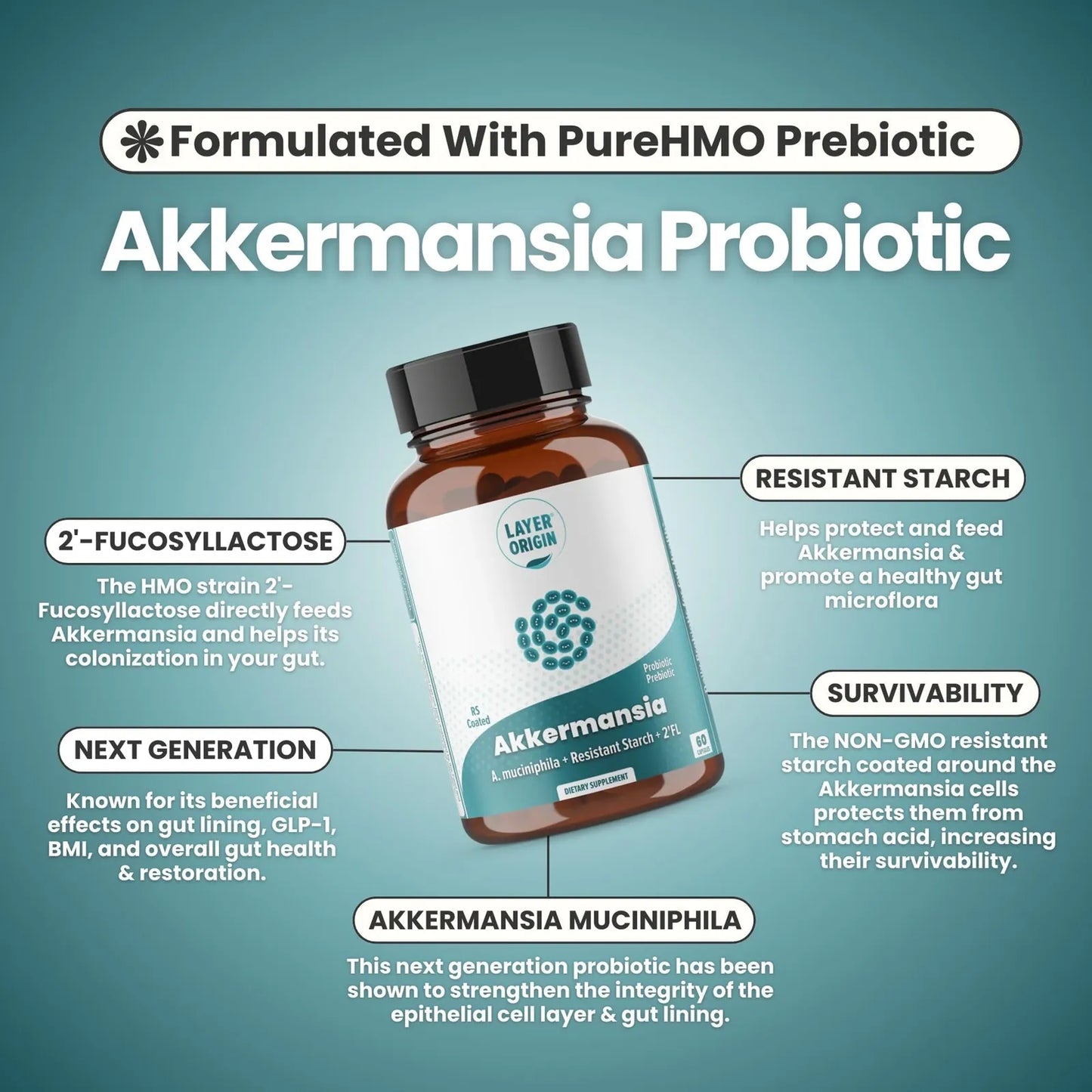 Probiótico Akkermansia Muciniphila Con Prebiótico PureHMO Salud Intestinal Premium