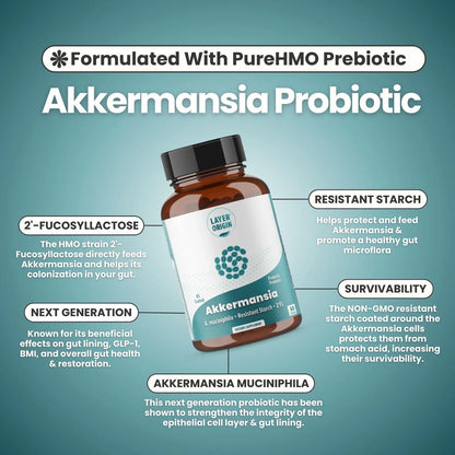 Probiótico Akkermansia Muciniphila Con Prebiótico PureHMO Salud Intestinal Premium