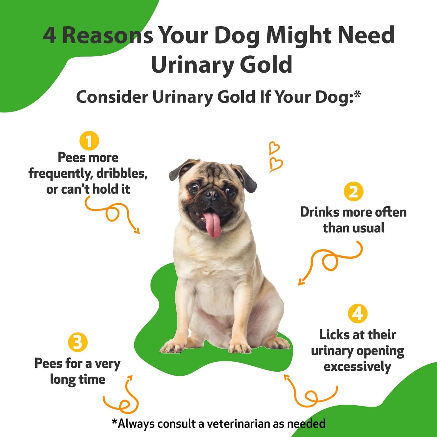Oro Urinario Para Perros Pet Wellbeing Suplemento Salud Tracto Urinario