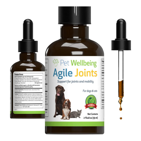 Suplemento Articulaciones Ágiles Para Perros Mejora Movilidad Y Alivia Dolor