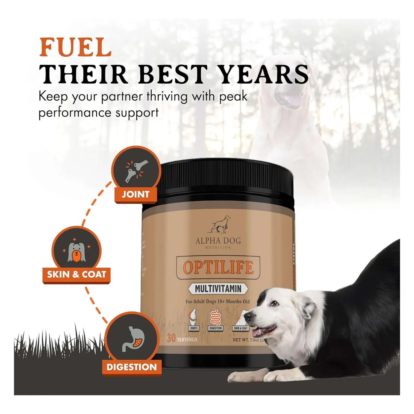 Multivitamínico OptiLife Para Perros Adultos Con Probióticos Y Soporte Articular