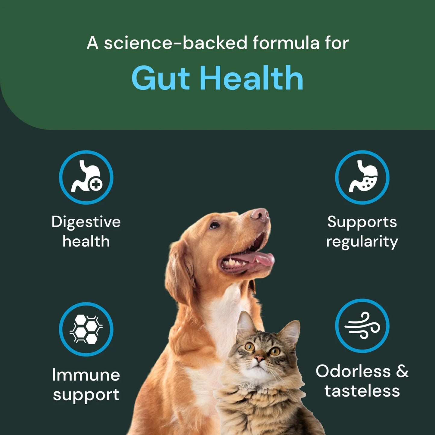 Probiótico En Polvo Para Mascotas Flora Intestinal Saludable Perros Gatos