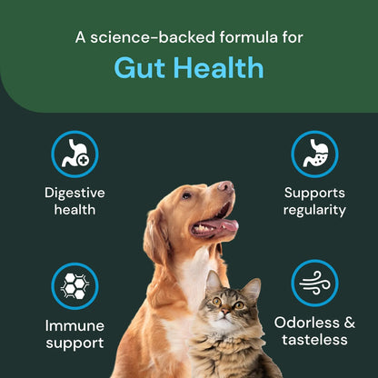 Probiótico En Polvo Para Mascotas Flora Intestinal Saludable Perros Gatos