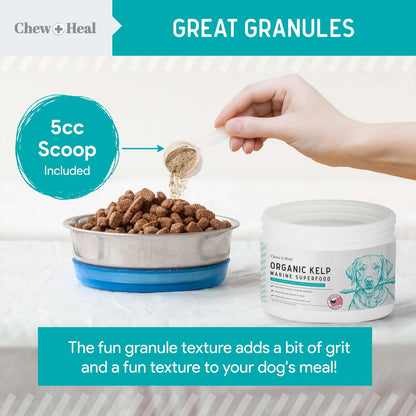 Polvo De Algas Marinas Para Perros 450g Suplemento Natural Para Piel Tiroides Y Dientes