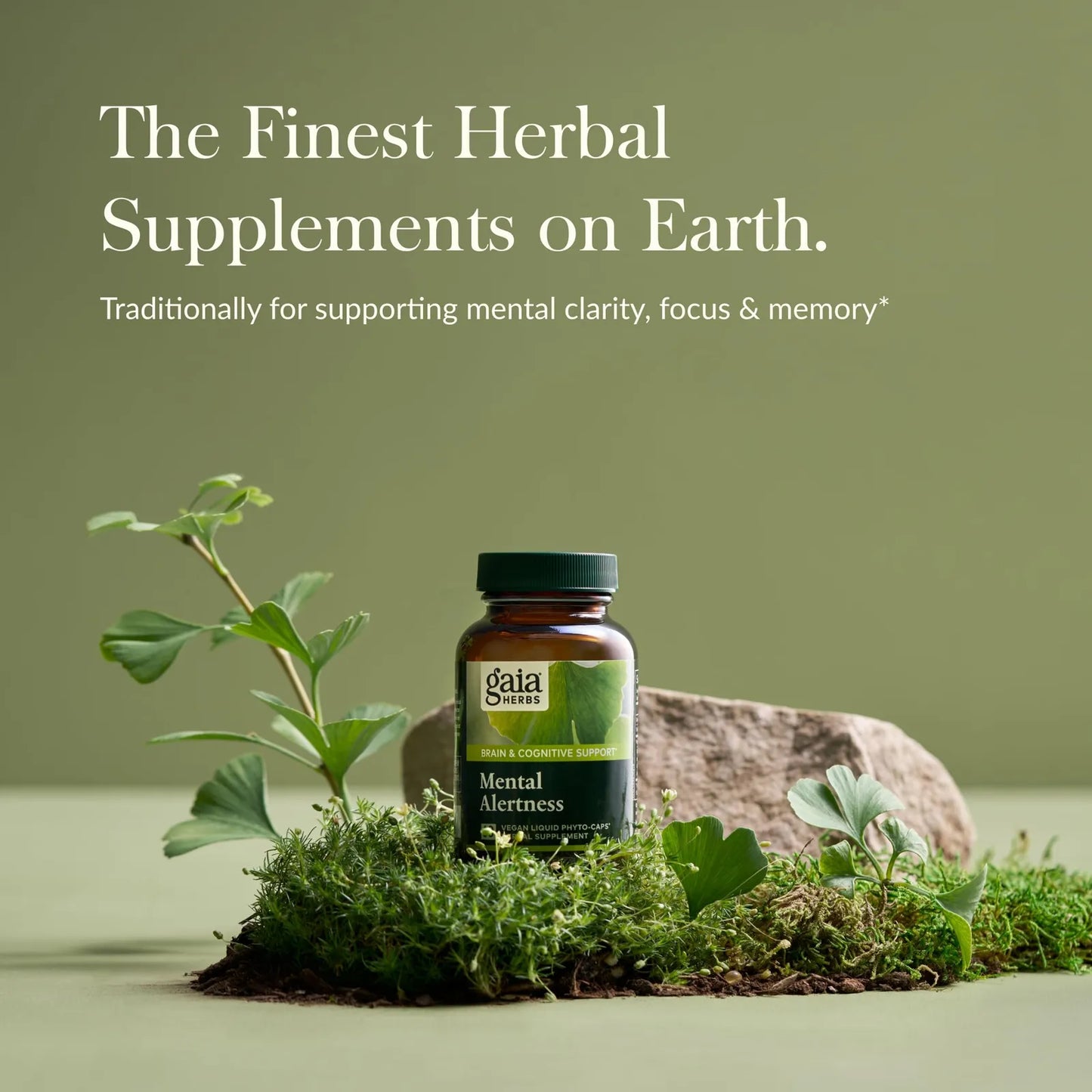 Suplemento Cerebral Eleuthero Ginkgo Gotu Kola 60 Caps Veganas Enfoque Memoria