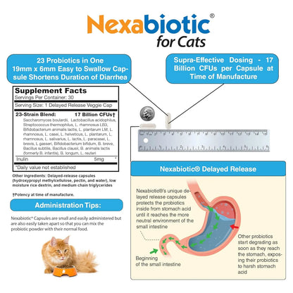 Probióticos En Polvo Para Gatos DrFormulas Trata Diarrea Con 23 Cepas